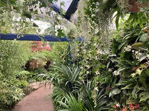 Blue Diamond Chelsea garden